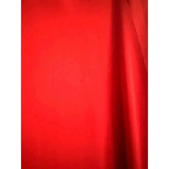 Iris & Ink Asymmetrical Waistline Reddish Orange Dress 14 - Picture 11 of 12